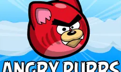 Angry Purrs