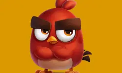 Hungry Birds