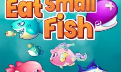 Eat Small Fish