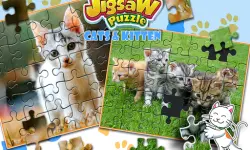 Jigsaw Puzzle Cats Kitten