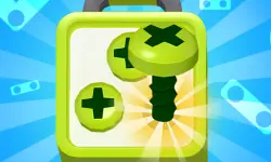 Screw Sort Puzzle Pin Jam 3D