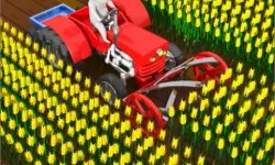 Cut the Grass   Cutting Grass