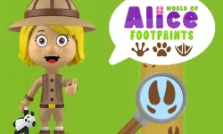 World of Alice   Footprints