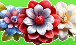 Merge Flowers in 2D!