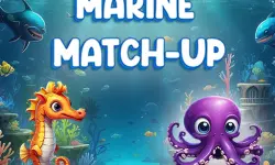 Marine Match Up