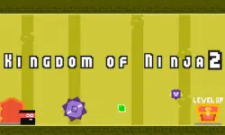 Kingdom of Ninja 2