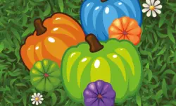 Color Pumpkin Match