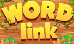 Word Link Puzzle