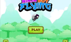 Ninja flying boy