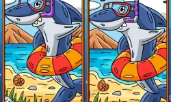 Marine Spot The Difference