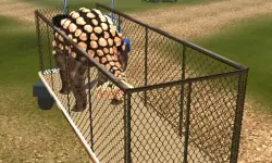 Dino Transport Simulator
