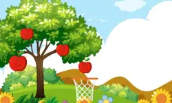 Hoops Fruits