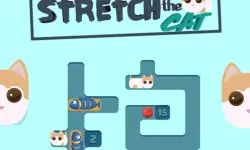 Stretch The Cats