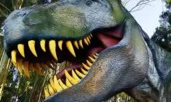 King of the Dinosaurs Puzzle