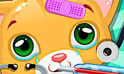 Doctor Pets