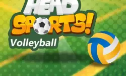 Head Sports Volleyball