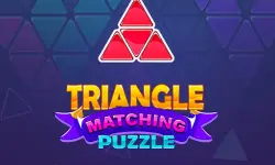 Triangle Matching Puzzle