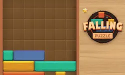 Falling Puzzle