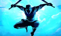 Shadow Ninja Warriors