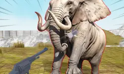 Zoo Anomaly Simulation