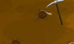 Dinosaur Bone Digging