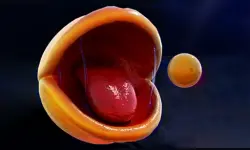 Pac-Man Rtx On background