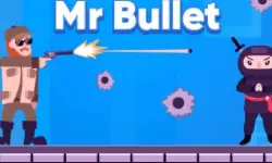 Mr Bullet