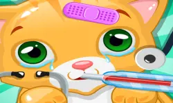 Cat Doctor Save my Cat