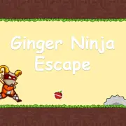 Friv Ninja Games No Download