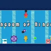 Ninja Friv Games